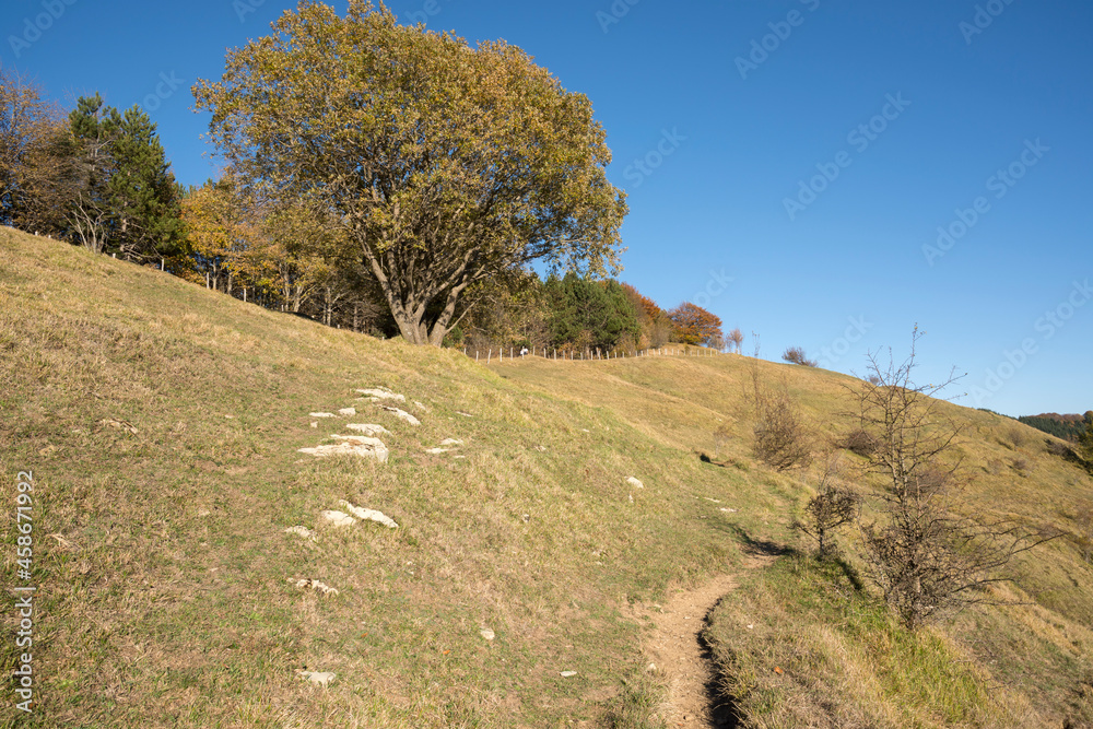 Obraz premium autumn landscape on the mountains of Genoa in Liguria in Italy