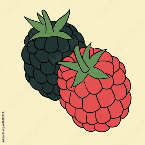Doodle freehand outline sketch drawing of raspberry fruit.