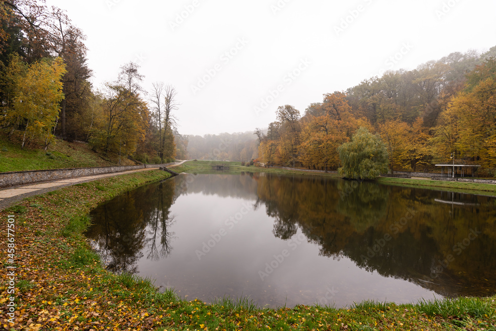 Fototapeta premium alleyway in foggy park. Autumn, rainy weather