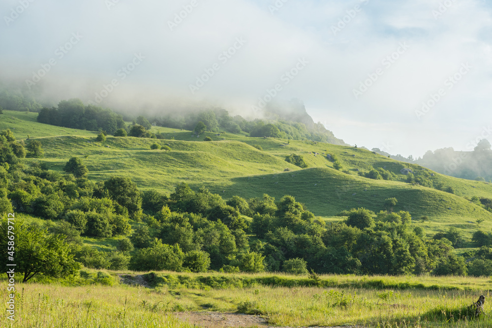 Small green trees and hills against a mountain that is covered in fog. Morning mountain scenery.