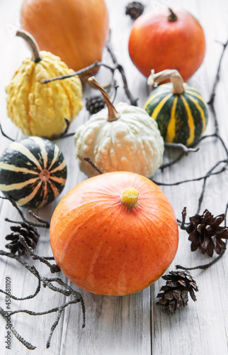 Autumn composition with assorted pumpkins