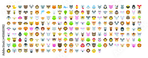 illustration of a set of Animals