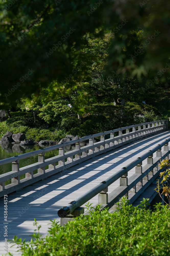 Fototapeta premium 庭園の橋