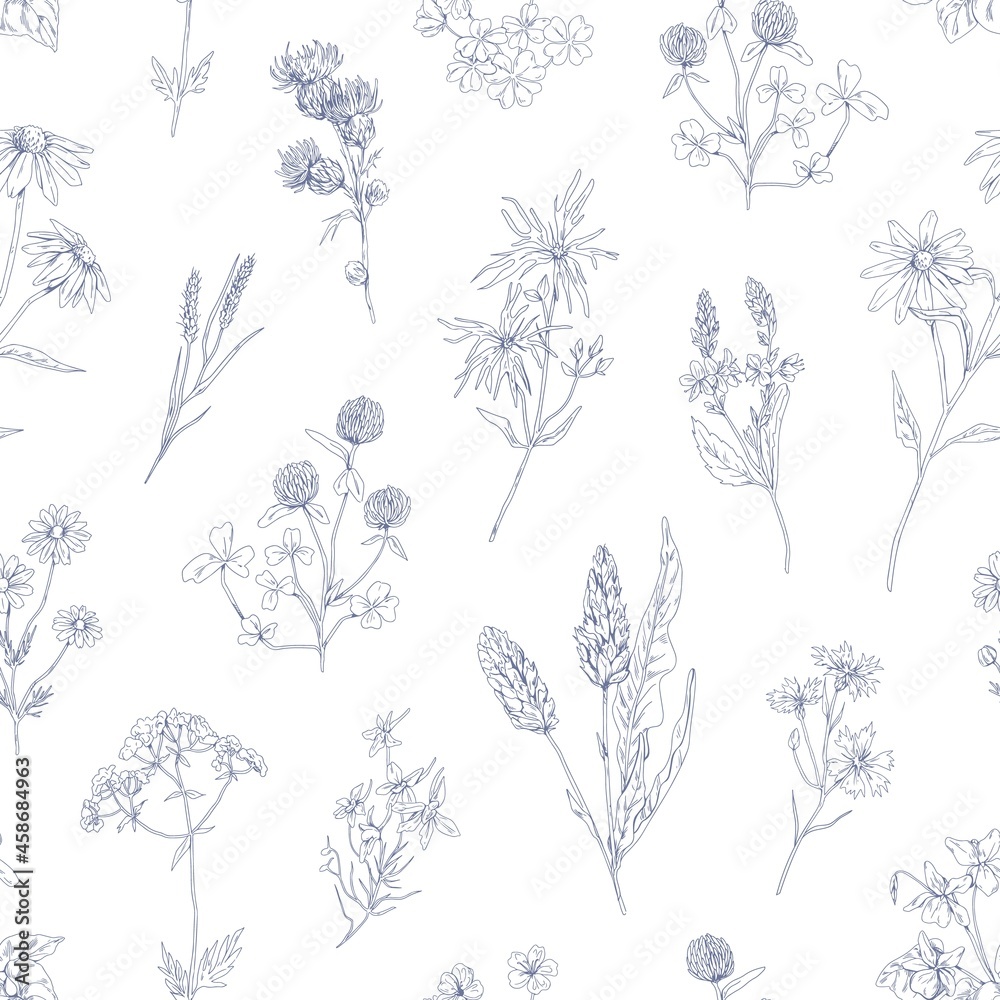 Fototapeta premium Outlined herbs pattern. Seamless vintage botanical background with wild flower plants. Black and white herbal texture. Repeating floral backdrop. Hand-drawn vector illustration of wrapping design