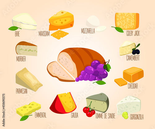 A set of different types of cheese. Cheese platter with snacks. Camembert, cheddar, gorgonzola, parmesan