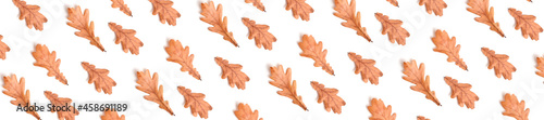 Panorama oak leaves on a white pattern