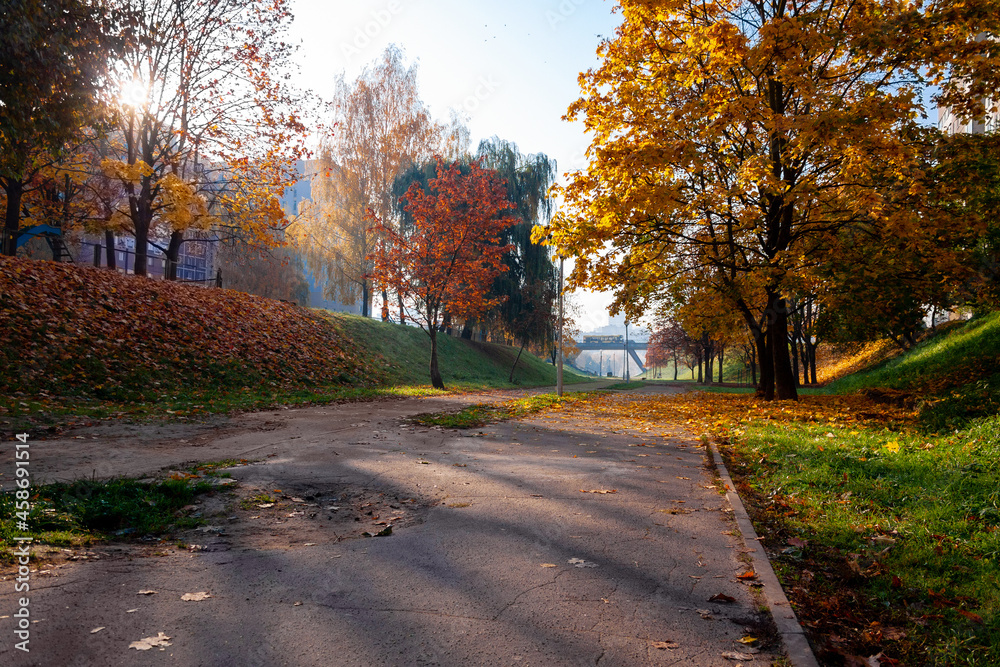 Walking path in an autumn park in the early morning