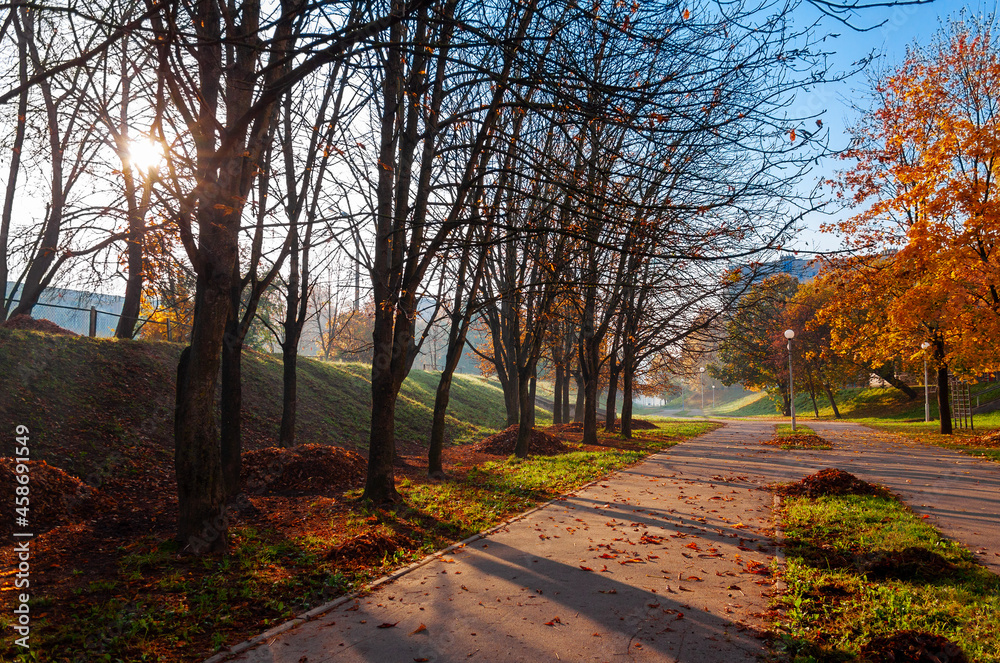 Walking path in the autumn park in the morning