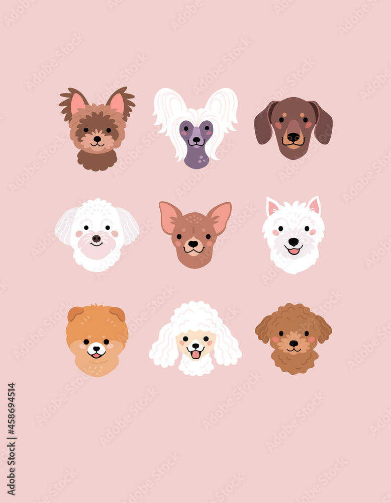 Obraz premium Small Breeds of Dogs Faces collection. Vector illustration of funny cartoon different breeds dogs in trendy flat style. Isolated on light pink background.