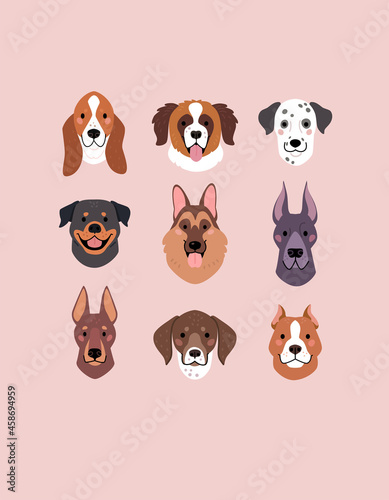 Large Dog Breeds Faces collection. Vector illustration of funny cartoon different breeds dogs in trendy flat style. Isolated on light pink background.