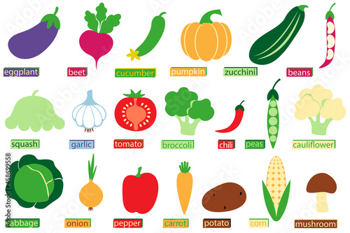 Set of vegetable icon. Collection of vegetables. Cartoon style.