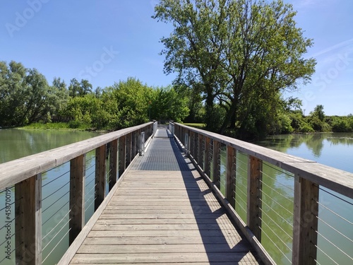 Perspective view of a wooden bridge on river Sile water against trees and blue sky, in River Sile Natural Park, Casier, Treviso  