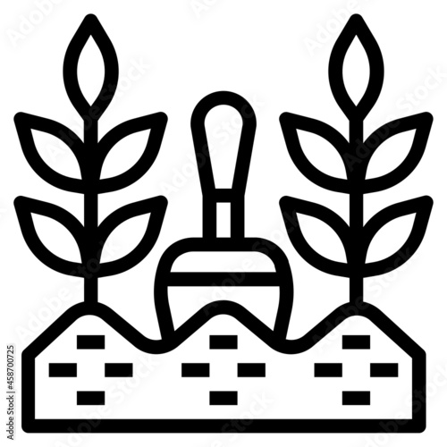 cultivation