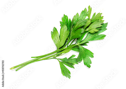 Parsley herb isolated on a white background. Fresh parsley macro. Top view