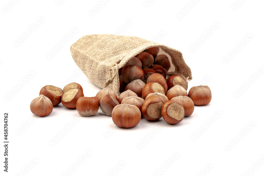 fresh hazelnuts in a canvas bag on white background fresh hazelnuts in a canvas bag on white background