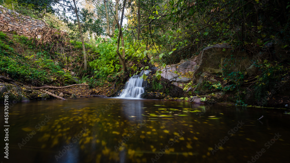 pequeña cascada en estanque larga esposicion con aguas de seda hojas en moviemiento y suelo cubierto por hojas otoñales figaro montseny cataluña españa pequeña cascada en estanque larga esposicion con aguas de seda hojas en moviemiento y suelo cubierto por hojas otoñales figaro montseny cataluña españa