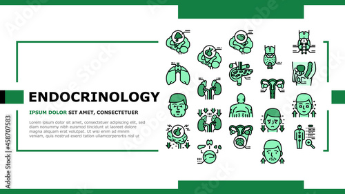 Endocrinology Medical Disease Landing Web Page Header Banner Template Vector. Parathyroid And Pituitary Gland, Acromegaly And Hypothyroidism, Hypothalamus And Adrenal Endocrinology Illustration