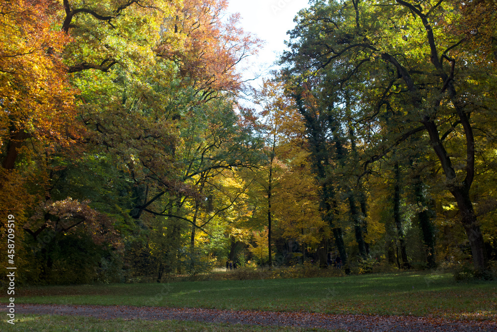 autumn in Germany Bayern