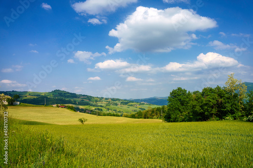 Rural landscape near Nibbiano  Emilia-Romagna  at May