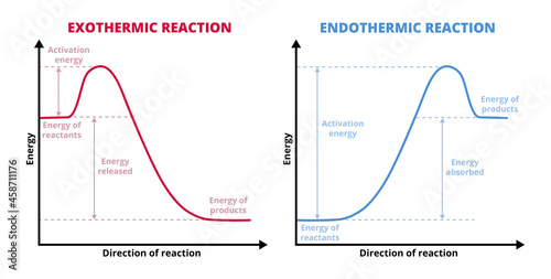 Vector graphs or charts of endothermic and exothermic reactions isolated on white. Exo and endo chemical reactions. Activation energy. Reactants, products, increase and decrease in enthalpy H. photo