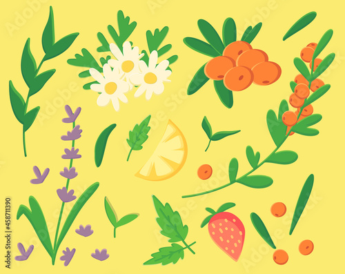 Collection of tea herbs, a set of medicinal herbs, chamomile, lavender, fruit and berry additives for tea, grass, twigs, green tea leaves, lemon, sea buckthorn, strawberry, yellow background.
