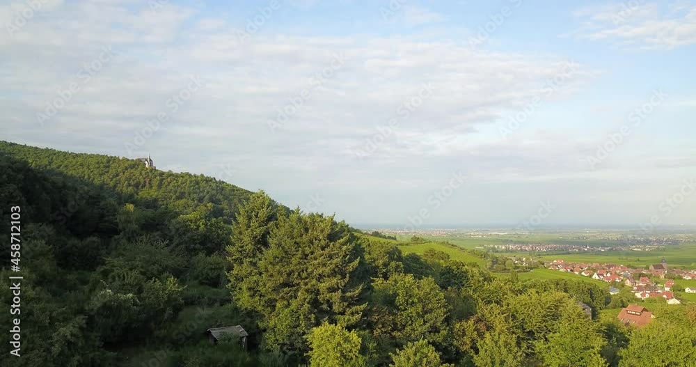 Vineyard landscape and vines in the southern Rhineland Palatinate on the eastern edge of the Palatinate Forest