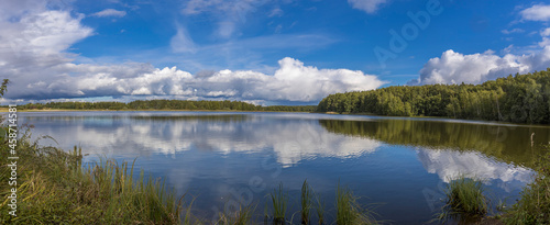 Sunny day on a calm river in summer. The blue sky is reflected in the water. Landscape with a lake and a strip of forest on the horizon.