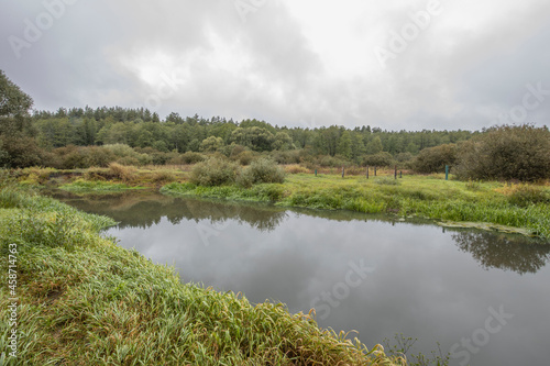 A landscape in cloudy weather with a river and grass in the foreground. Drizzling rain in early autumn.