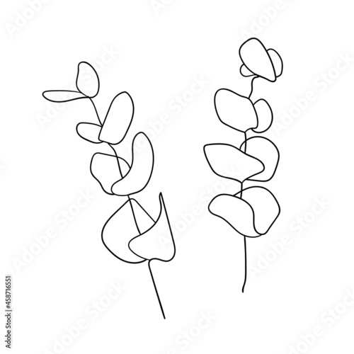 Monochrome Eucalyptus branch illustration on white background. Wedding Eucalyptus. Branch of a tree with leaves.