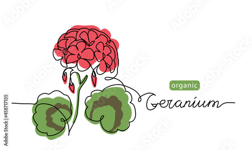 Geranium, pelargonium flower one line art drawing. Simple vector line illustration with lettering organic geranium
