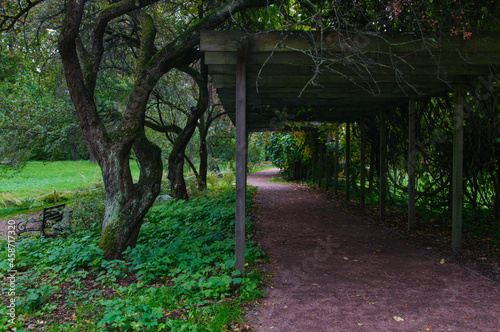 old wooden shed in the park in the forest beautiful path in the park. High quality photo