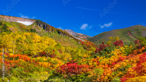秋の大雪山系 紅葉の絶景 大雪高原沼