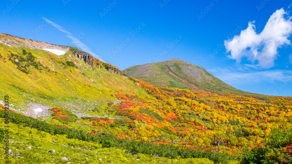 大雪高原沼　紅葉の見頃　緑岳と紅葉の森