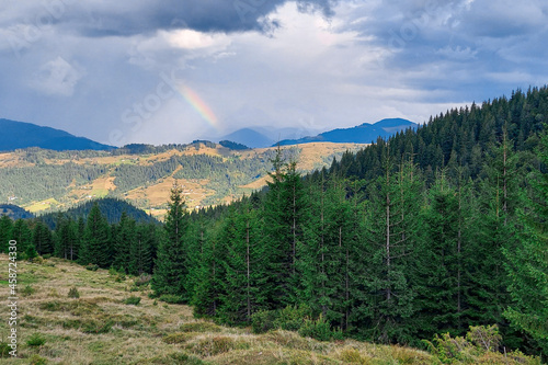 rainbow. High-altitude landscape with forest and colorful rainbow in the sky