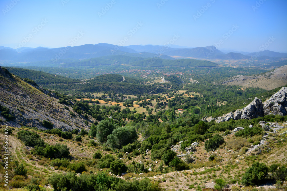 high mountains with green trees and gray stones, top view