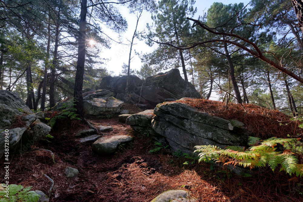 Forest path in the Avon rock near fontainebleau city Forest path in the Avon rock near fontainebleau city