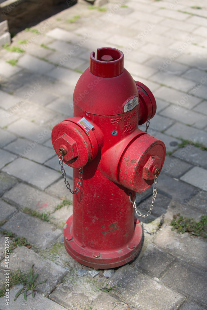 A Chinese Fire Hydrant in the street A Chinese Fire Hydrant in the street