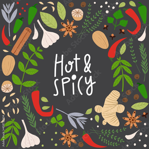 Spices and herbs frame. Hot and Spicy lettering with flat hand drawn cooking ingredients. Trendy kitchen poster design, label for spice shop.