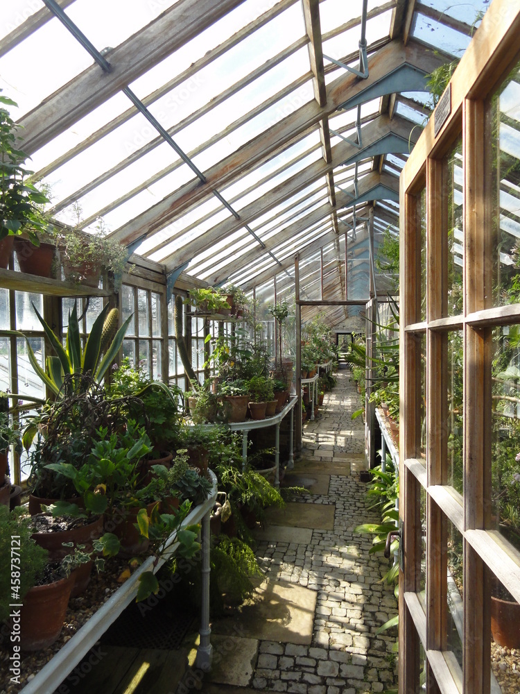 Entering greenhouse with plants