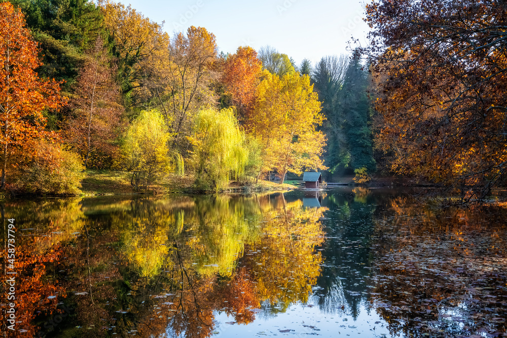 Fototapeta premium Autumn view with reflections in the lake - Lipnik Park, Ruse region, Bulgaria