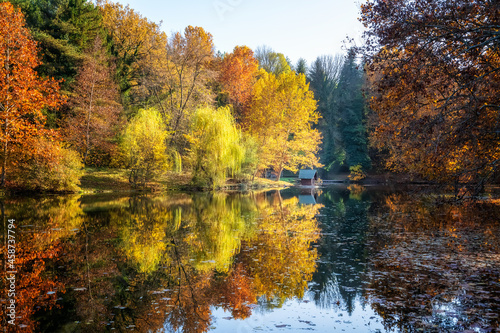 Autumn view with reflections in the lake - Lipnik Park, Ruse region, Bulgaria
