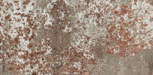 Crack concrete slab backdrop with moss