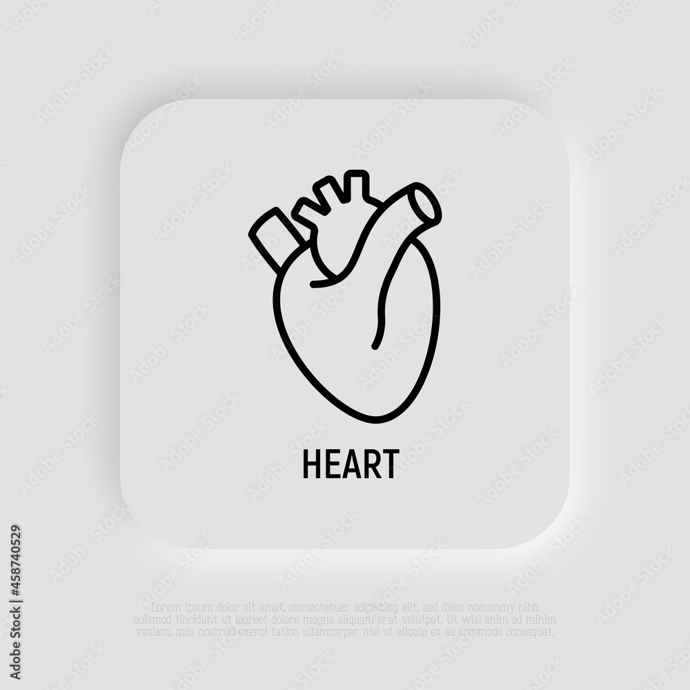 Human anatomical heart thin line icon. Modern vector illustration of human organ. Human anatomical heart thin line icon. Modern vector illustration of human organ.