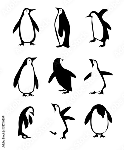 penguin icon different poses vector set