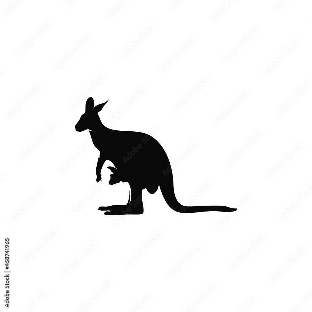 kangaroo illustration with the baby