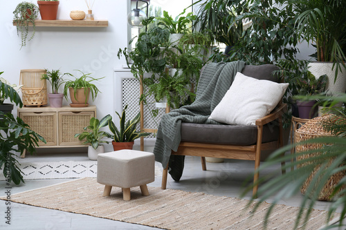 Comfortable armchair and beautiful houseplants in room. Lounge area interior © New Africa