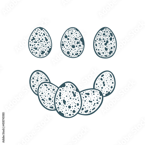 Quail Eggs hand drawing vector illustrations set.