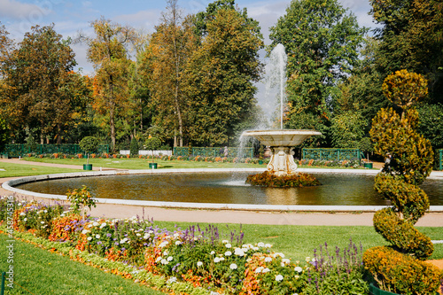 Beautiful fountain on a summer day. Bright green park with blooming flowers. Sunny day