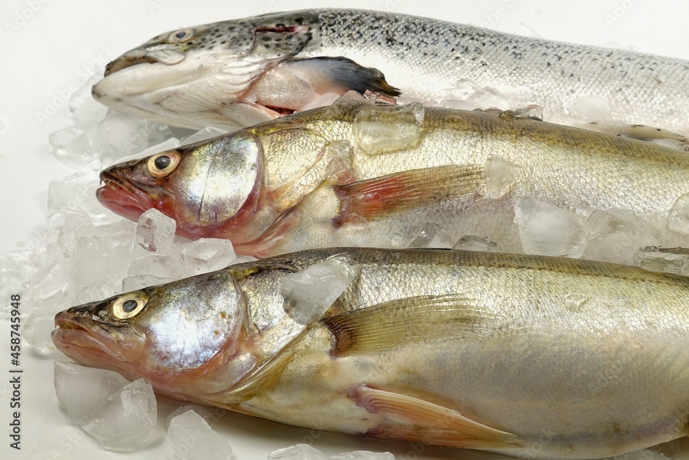 Fresh fish laid out on ice, showcase Fresh fish laid out on ice, showcase