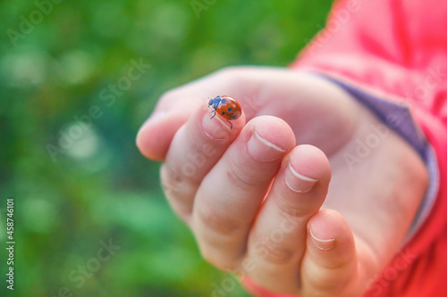 A child's hand in a red jacket holds a ladybug on its fingers. An insect with red wings and black dots. Soft selective selective focus